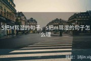 S把M骂湿的句子，s把m骂湿的句子怎么理
