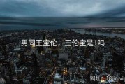 男同王宝伦，王伦宝是1吗