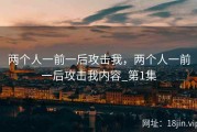 两个人一前一后攻击我，两个人一前一后攻击我内容_第1集