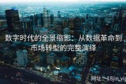 数字时代的全景缩影：从数据革命到市场转型的完整演绎