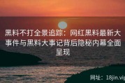 黑料不打全景追踪：网红黑料最新大事件与黑料大事记背后隐秘内幕全面呈现