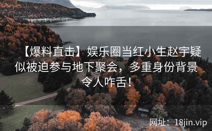 【爆料直击】娱乐圈当红小生赵宇疑似被迫参与地下聚会，多重身份背景令人咋舌！