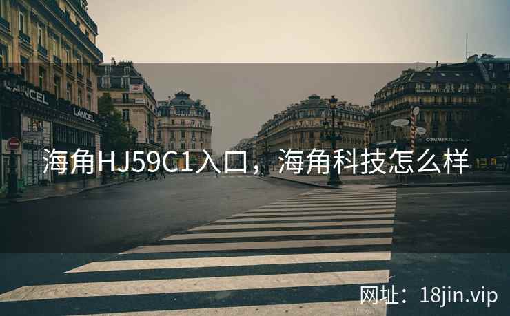 海角HJ59C1入口，海角科技怎么样
