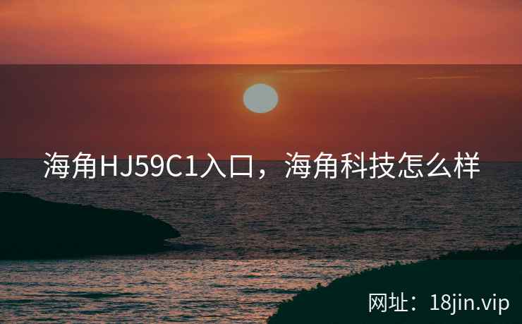 海角HJ59C1入口，海角科技怎么样