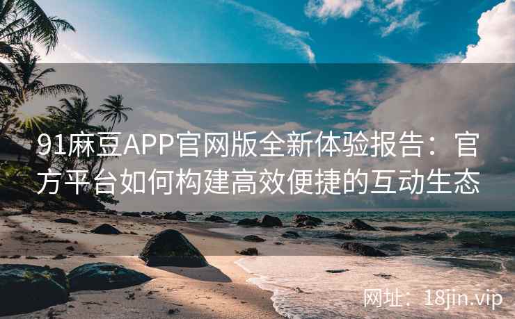 91麻豆APP官网版全新体验报告：官方平台如何构建高效便捷的互动生态