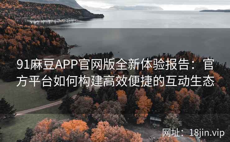 91麻豆APP官网版全新体验报告：官方平台如何构建高效便捷的互动生态