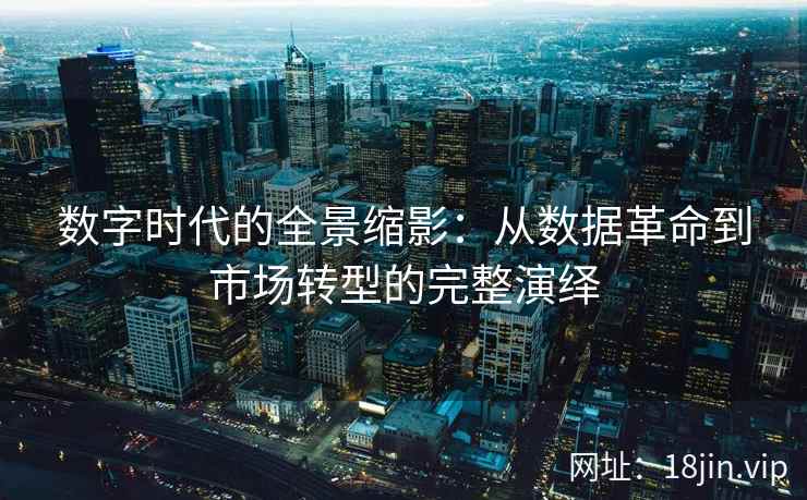数字时代的全景缩影：从数据革命到市场转型的完整演绎