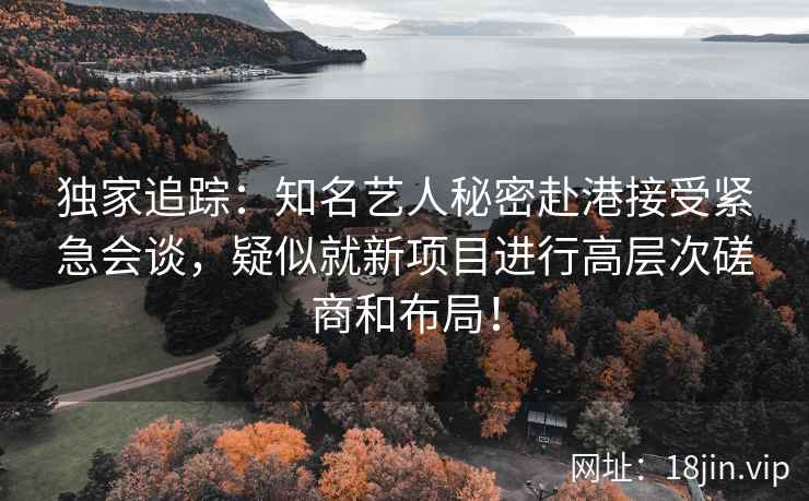 独家追踪：知名艺人秘密赴港接受紧急会谈，疑似就新项目进行高层次磋商和布局！