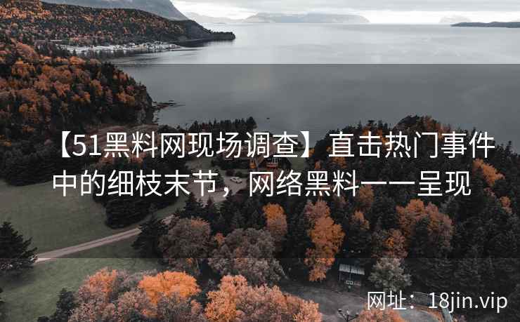 【51黑料网现场调查】直击热门事件中的细枝末节，网络黑料一一呈现