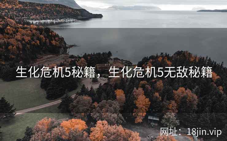 生化危机5秘籍，生化危机5无敌秘籍